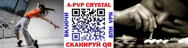 A PVP СК КРИС  Кашин 