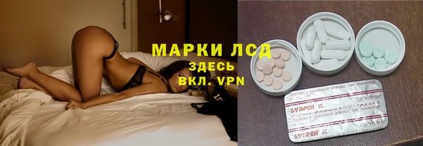 СК Болхов