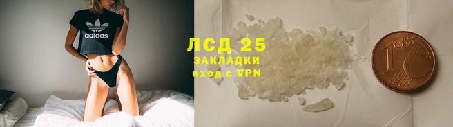 наркотики Болотное