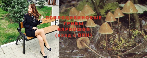 наркотики Болотное