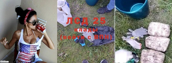 СК Болхов