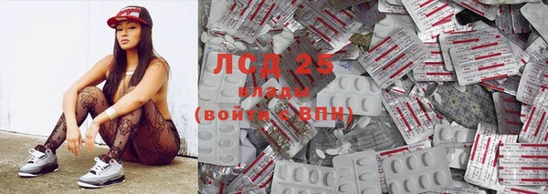 СК Болохово