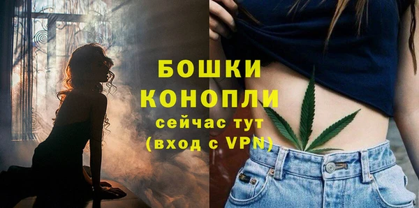 СК Болохово