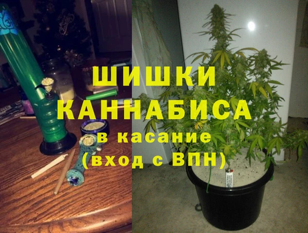 СК Болхов