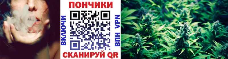 Конопля MAZAR  что такое наркотик  Кашин 
